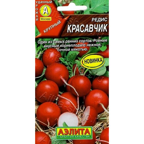 ���� ������ ������ ������ 