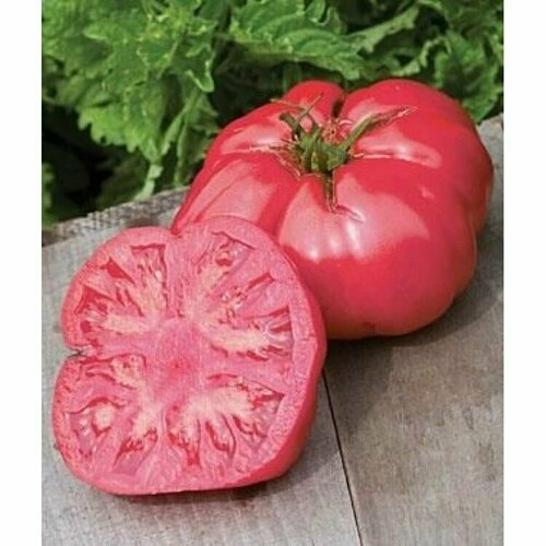 ���� ������������� ������ ������ ������� ��, ������ �� 104 ���