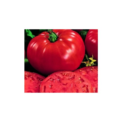 ���� ������������� ������ ������ ������, ������ �� 122 ���