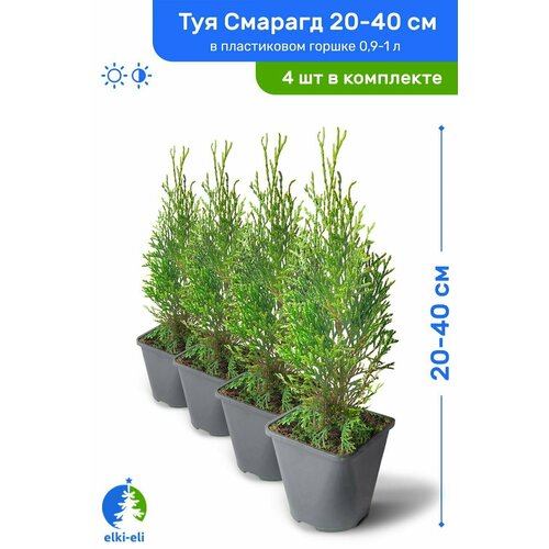 ���� ��� �������� ������� 20-40 �� � ����������� ������ 0,9-2 �, �������, ������� ����� ��������, �������� �� 4 ��, ������ �� 1508 ���