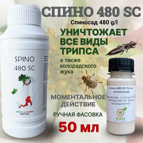 ���� ����� (�������� 480 �����) ������ ���� ����� ������ 50 ��, ������ �� 2850 ���