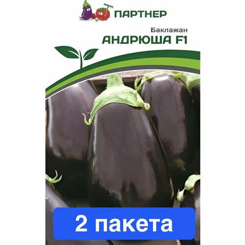 ���� ������ ������ ��������� ������� 