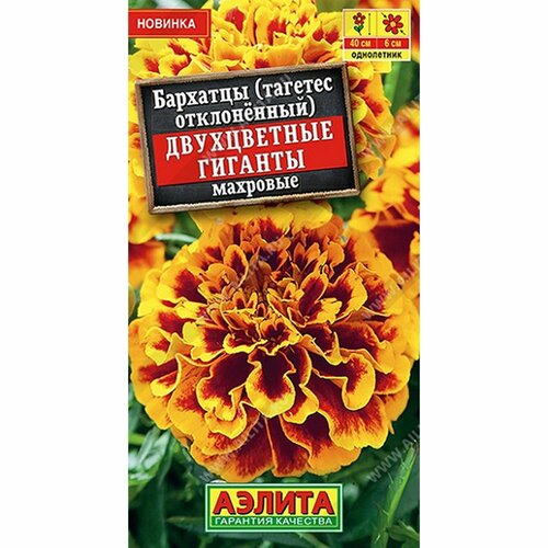 ���� ������ �������� ����������� ������� ��������, ����������, (������) 0,3�, ������ �� 50 ���