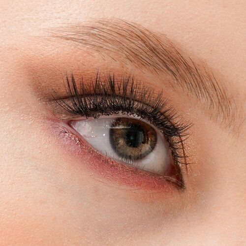 ���� ���������� ����� URBAN LAYER ru Havana, 2 ��., R 8,6, D -3, brown, 1 ��., ������ �� 1320 ���