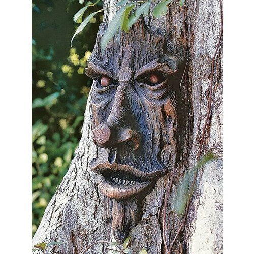 ���� ����� ���� �� ������, ������ �� 1999 ���