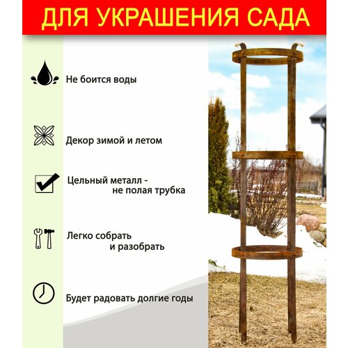 ���� ����� ��� ���� - ����� ��� ��������� ���� / ������� /������� 