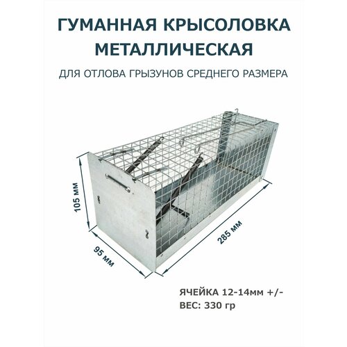     /        /  285  105  95 ,   985 