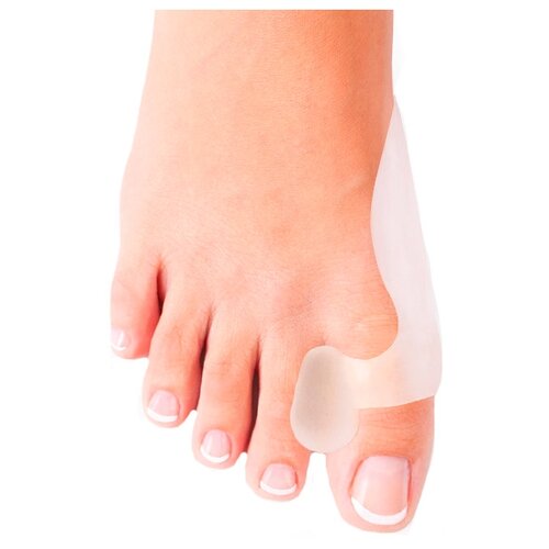 ���� Ortmann �������� ������� �������������� Proto, �-�: �������������, ������ �� 1606 ���