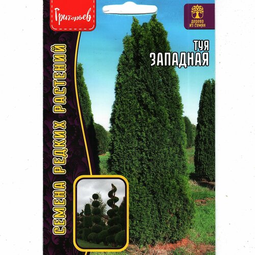 ���� ��� ��������, �������� ��� ������������ ������� ( 1 ��: 0,1 � ), ������ �� 275 ���